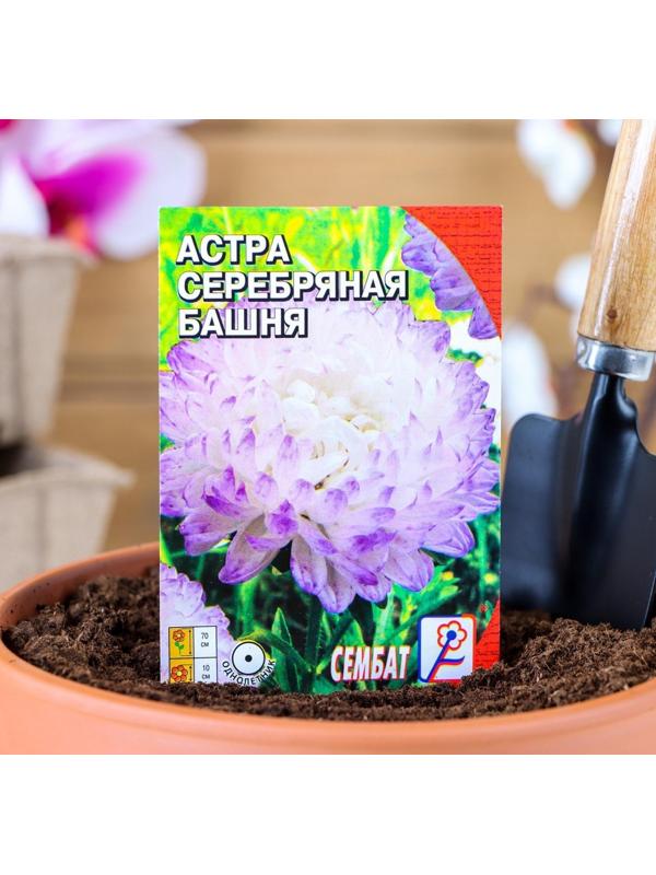 Семена цветов Астра пионовидная 