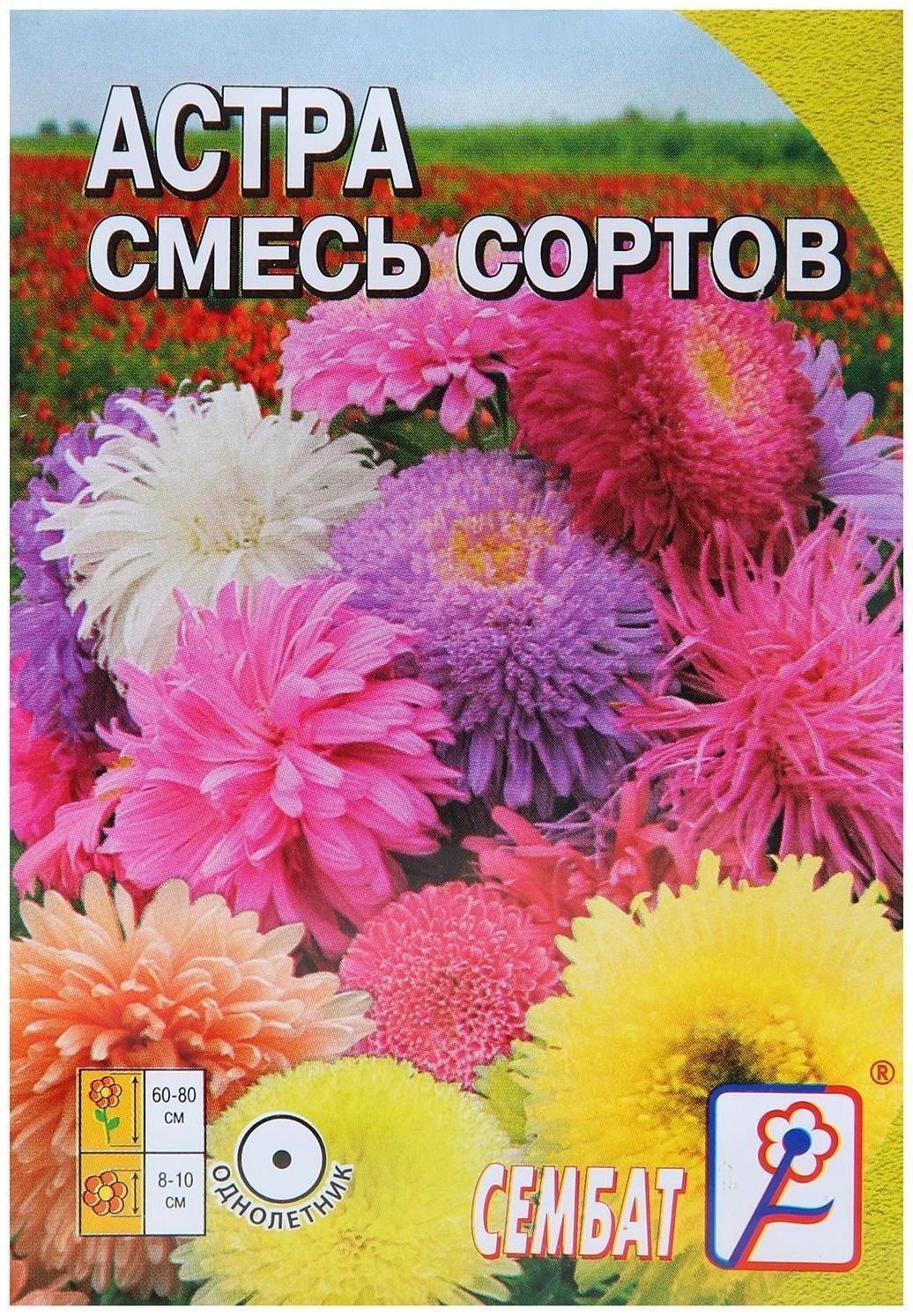 Семена цветов Астра, смесь сортов, 0,2 г