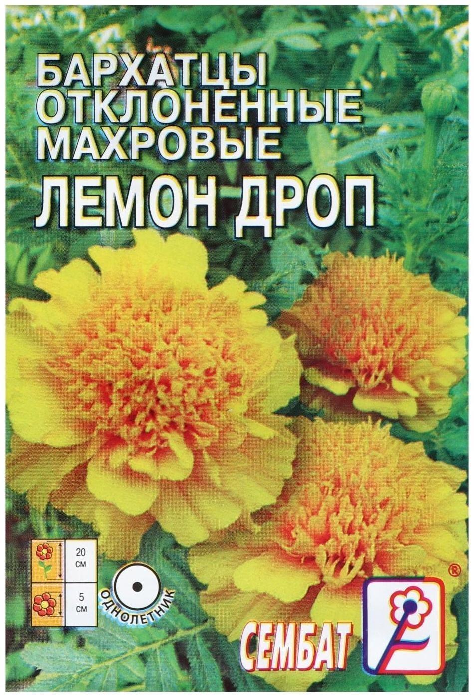 Семена цветов Бархатцы отклоненные  