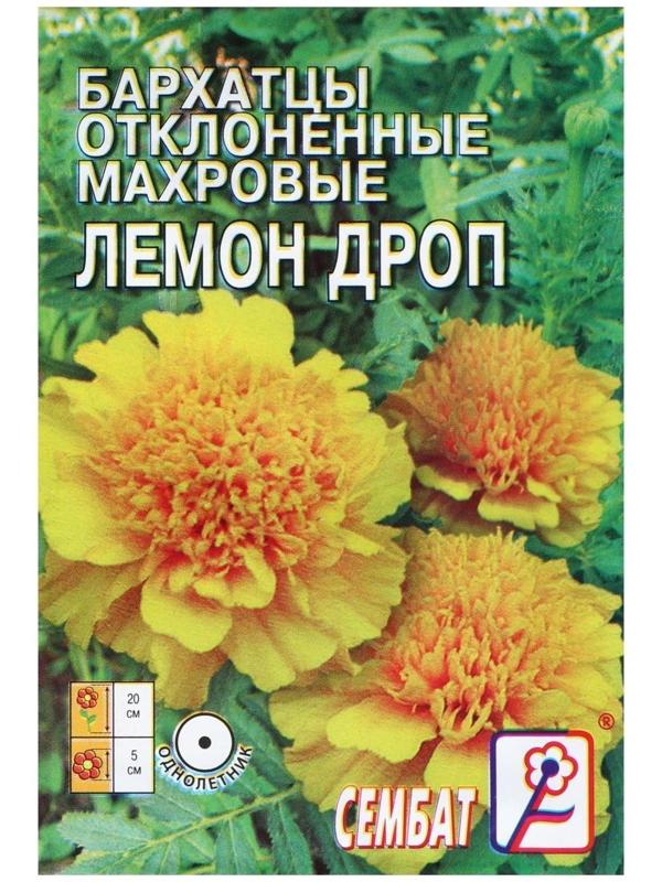 Семена цветов Бархатцы отклоненные  