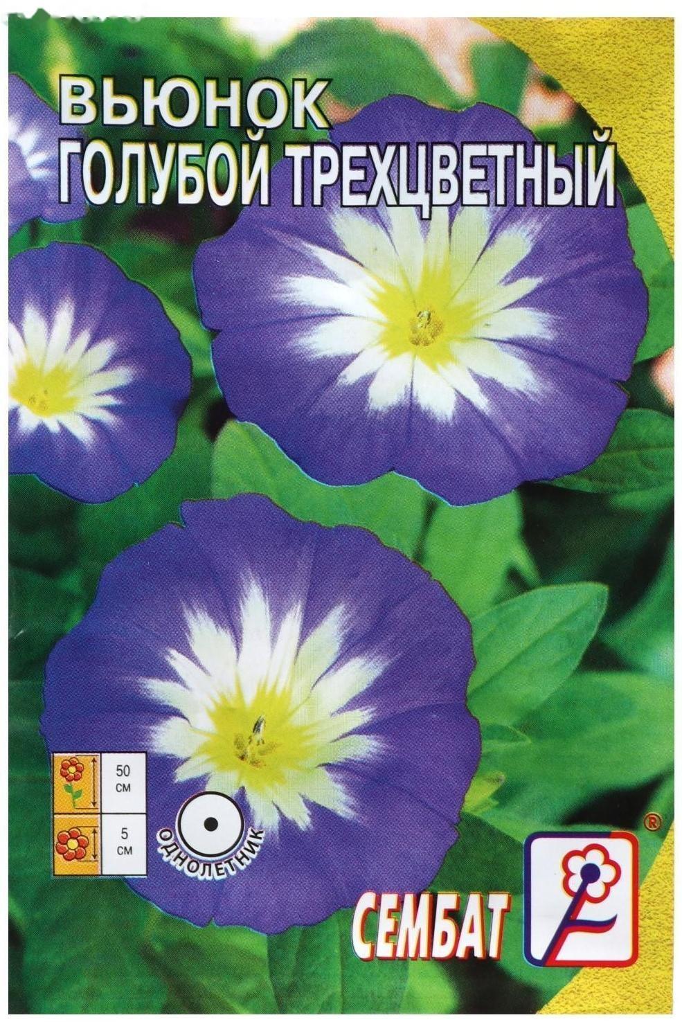 Семена цветов Вьюнок голубой трехцветный 0,5 г