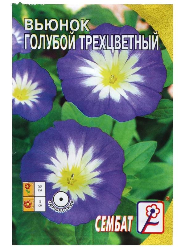 Семена цветов Вьюнок голубой трехцветный 0,5 г