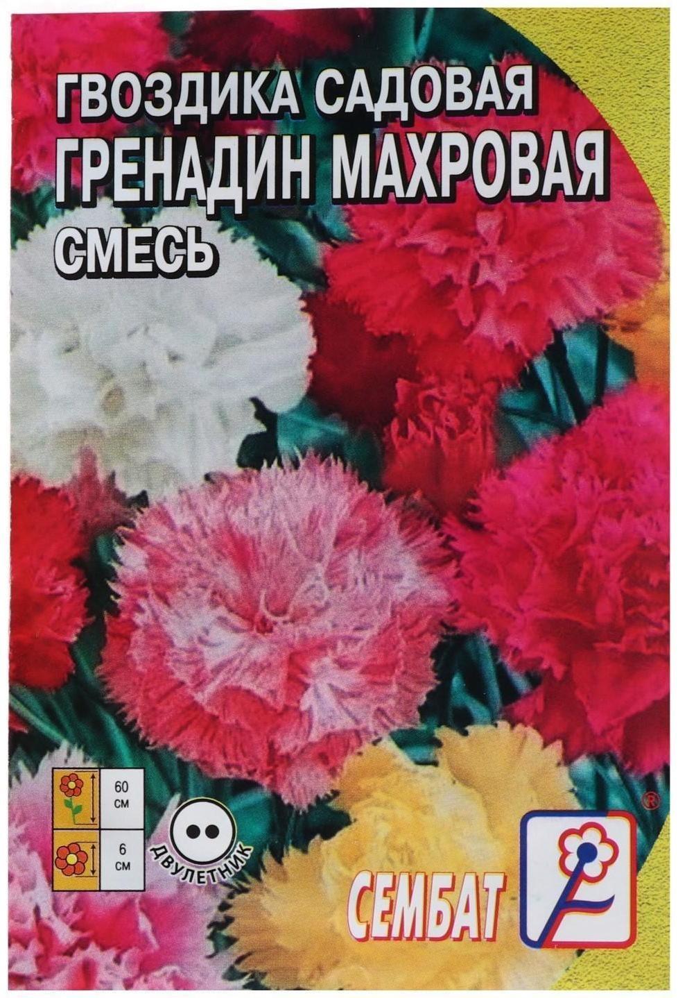 Семена цветов Гвоздика 