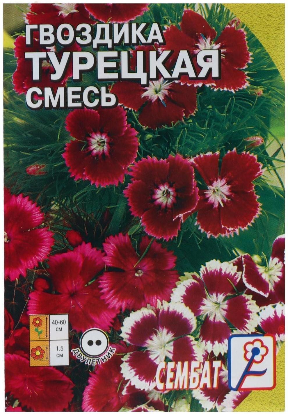 Семена цветов Гвоздика 