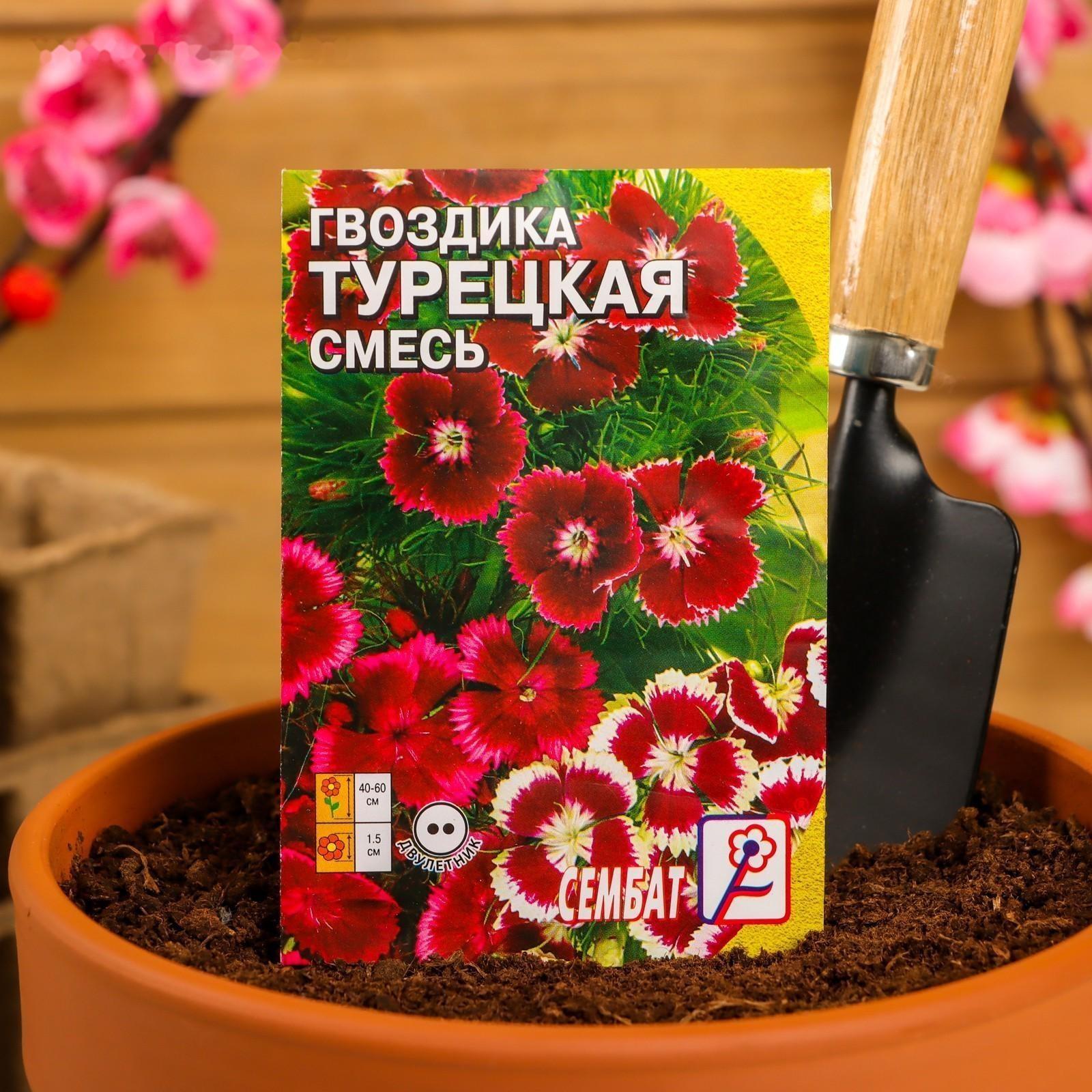 Семена цветов Гвоздика 