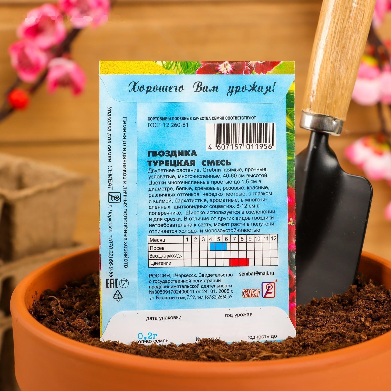 Семена цветов Гвоздика 