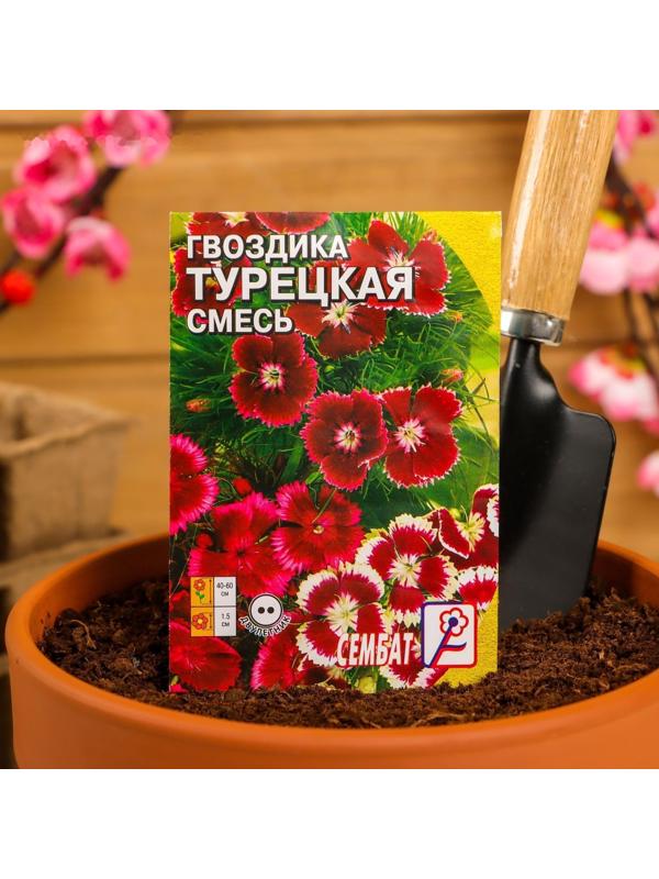 Семена цветов Гвоздика 