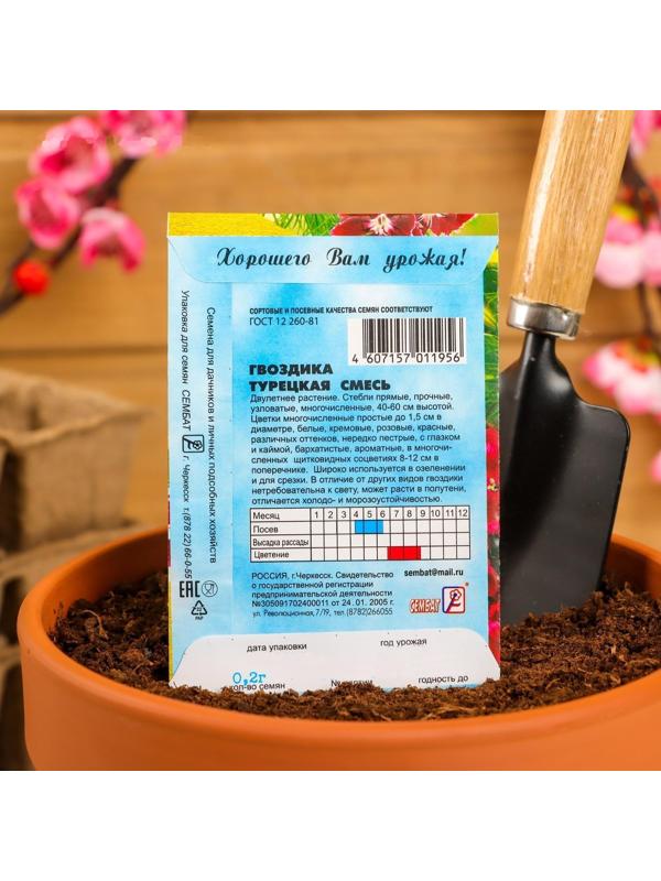 Семена цветов Гвоздика 