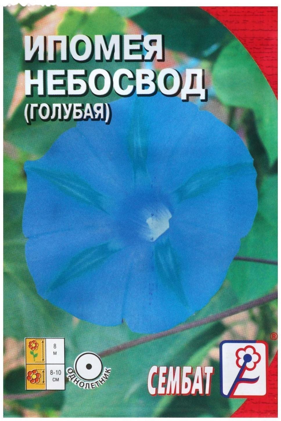 Семена цветов Ипомея 