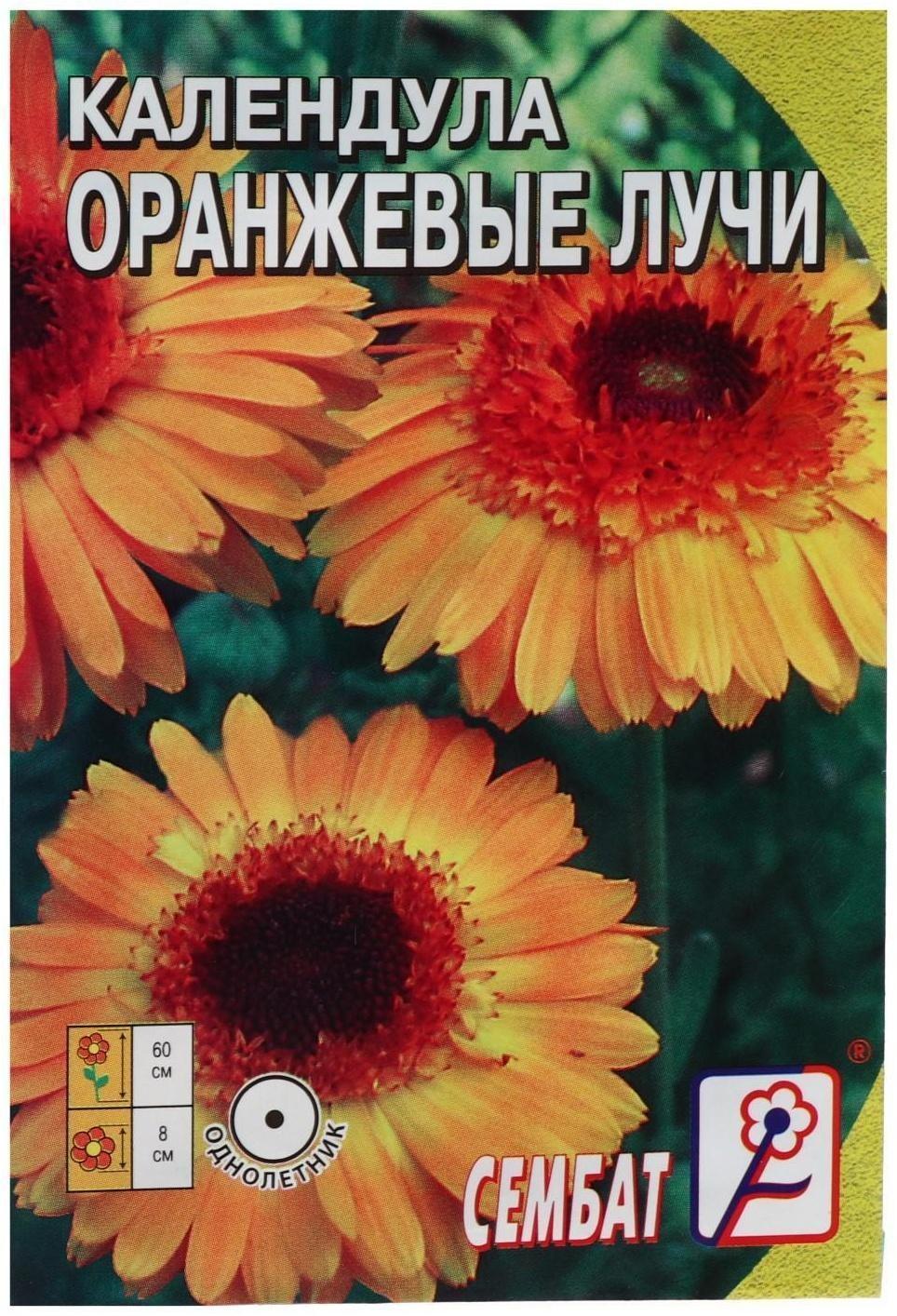 Семена цветов Календула 