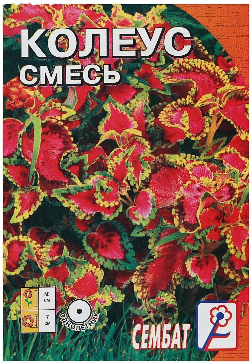 Семена цветов Колеус, смесь 0,05 г