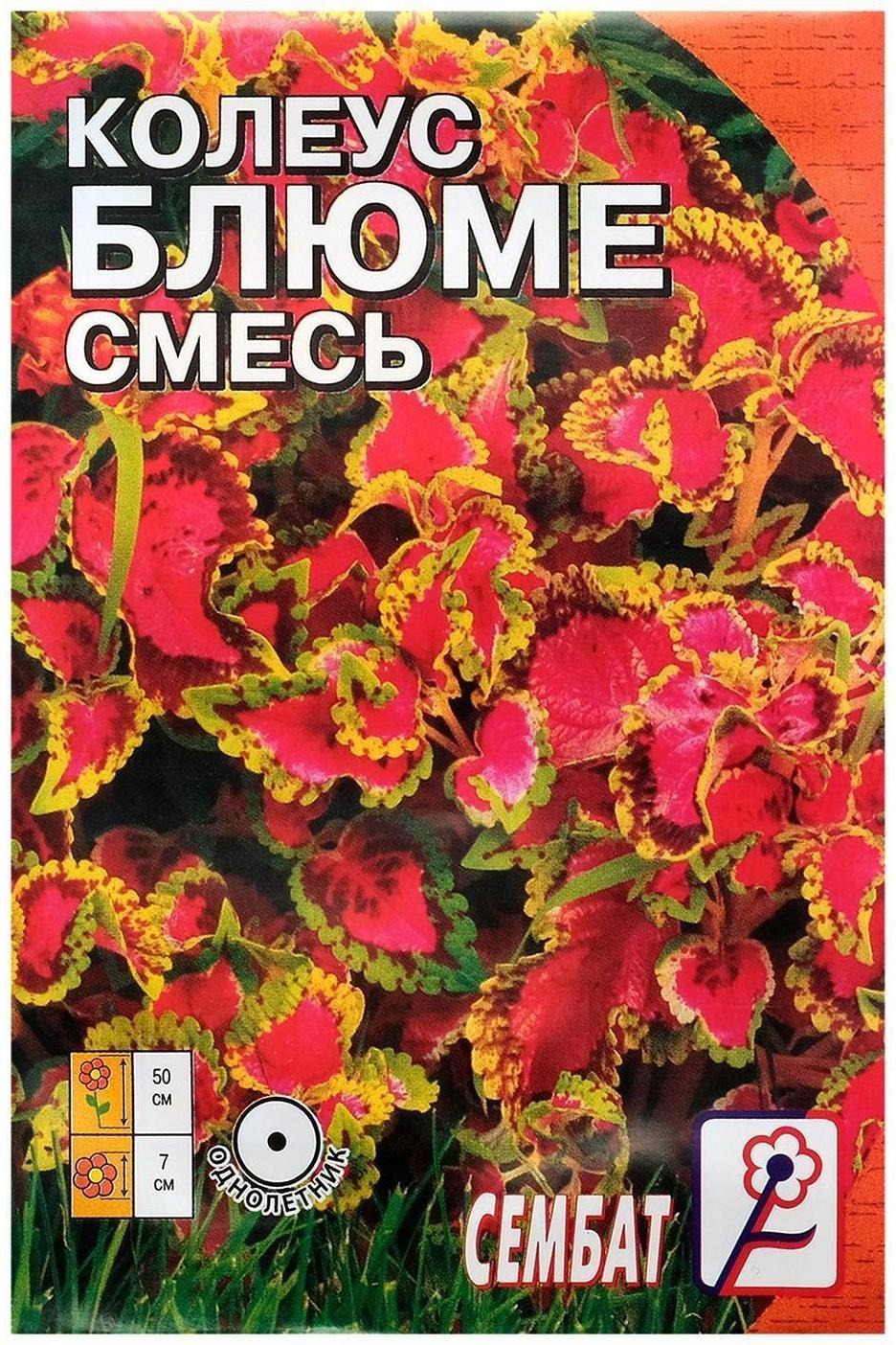 Семена цветов Колеус, смесь 0,05 г