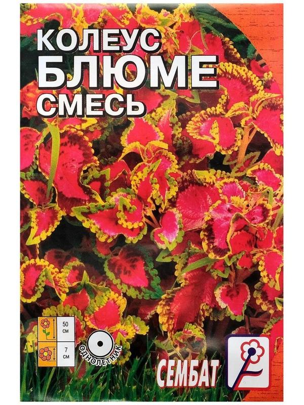 Семена цветов Колеус, смесь 0,05 г