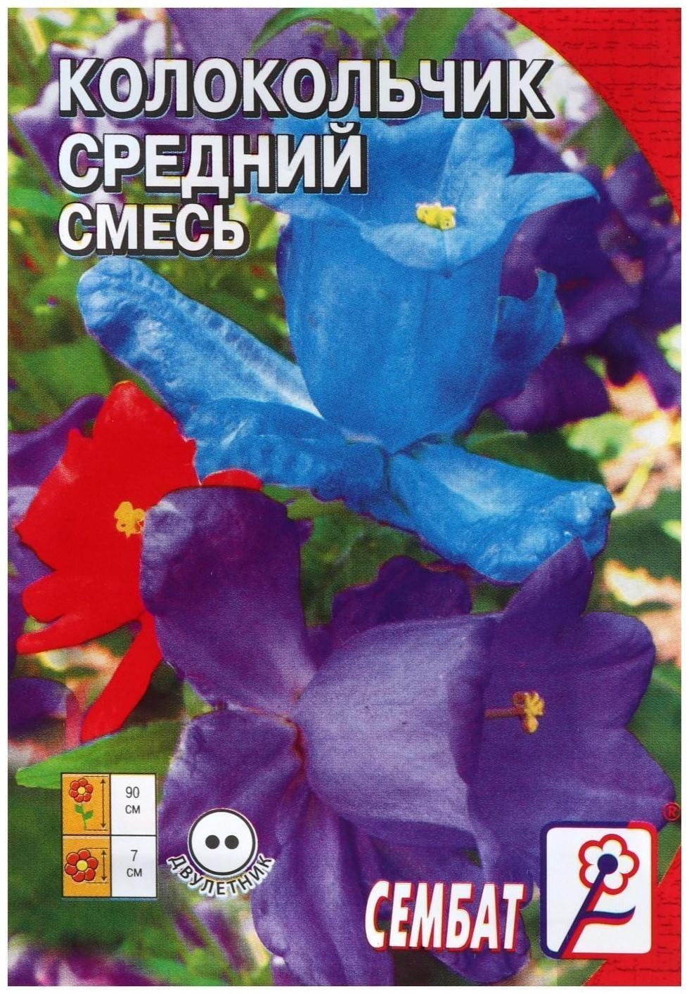 Семена цветов Колокольчик 