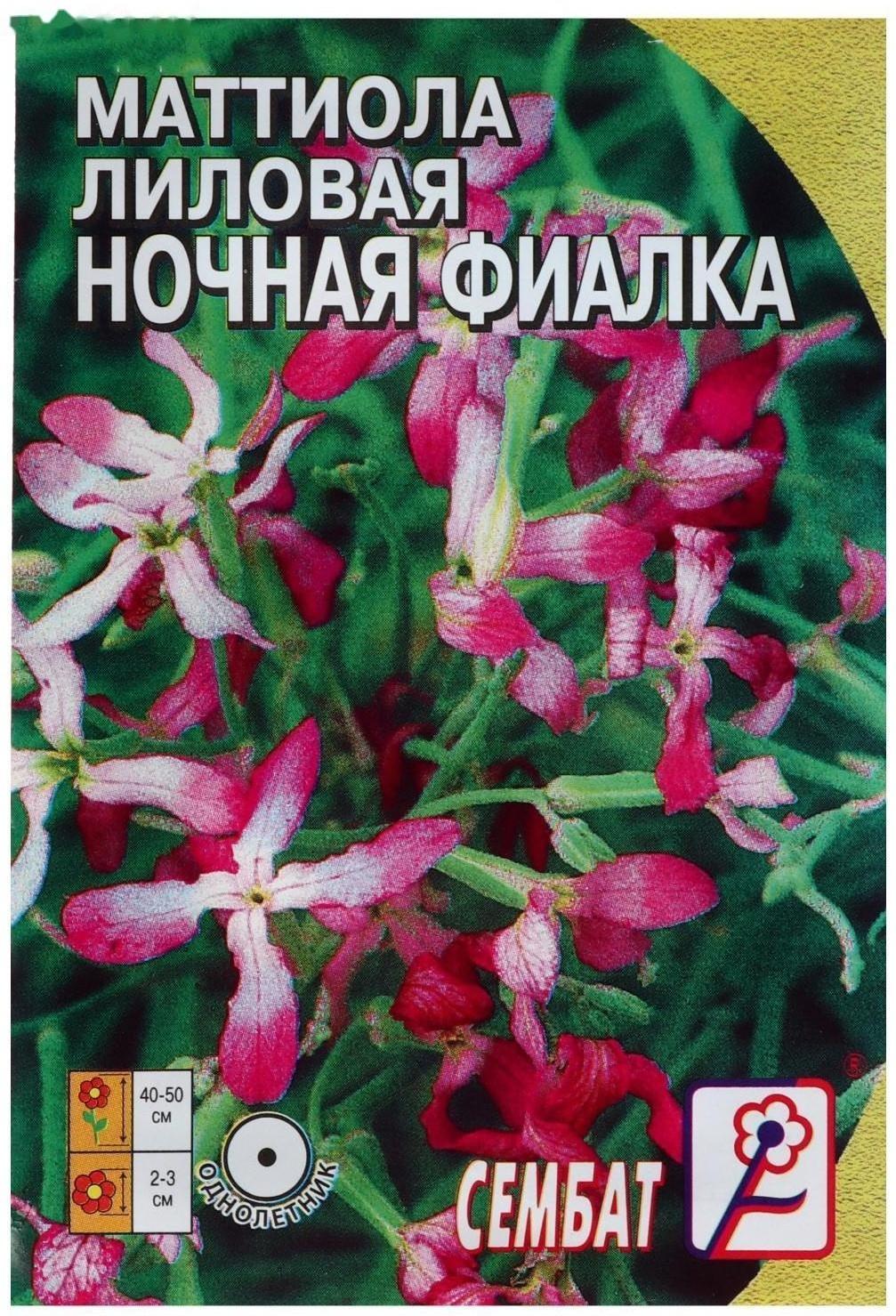 Семена цветов Маттиола Лиловая (ночая фиалка), 0,5 г