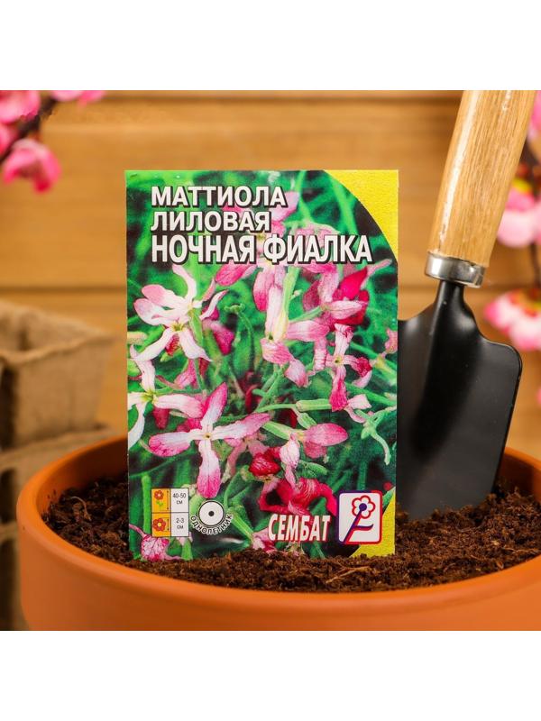 Семена цветов Маттиола Лиловая (ночая фиалка), 0,5 г