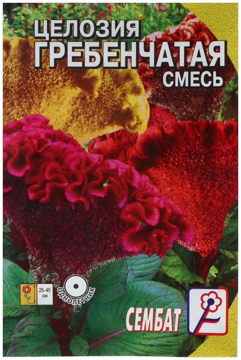 Семена цветов Целозия Гребенчатая смесь 0,1 г