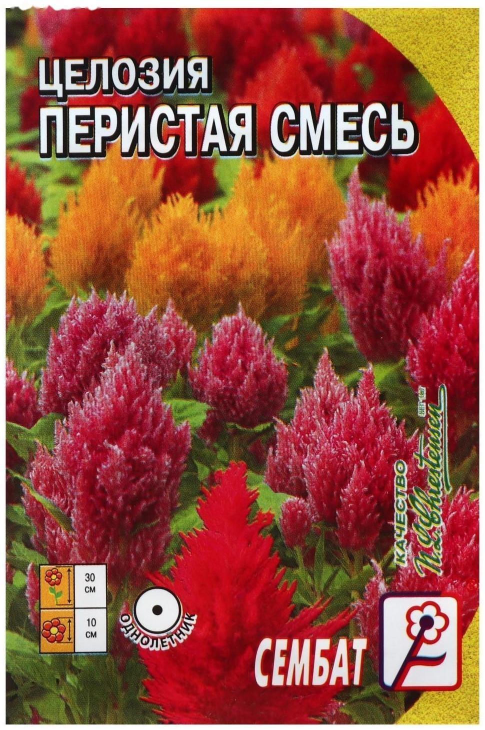 Семена цветов Целозия Перистая смесь 0,1 г