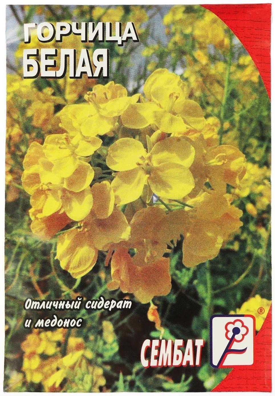 Семена Горчица Белая 20 г