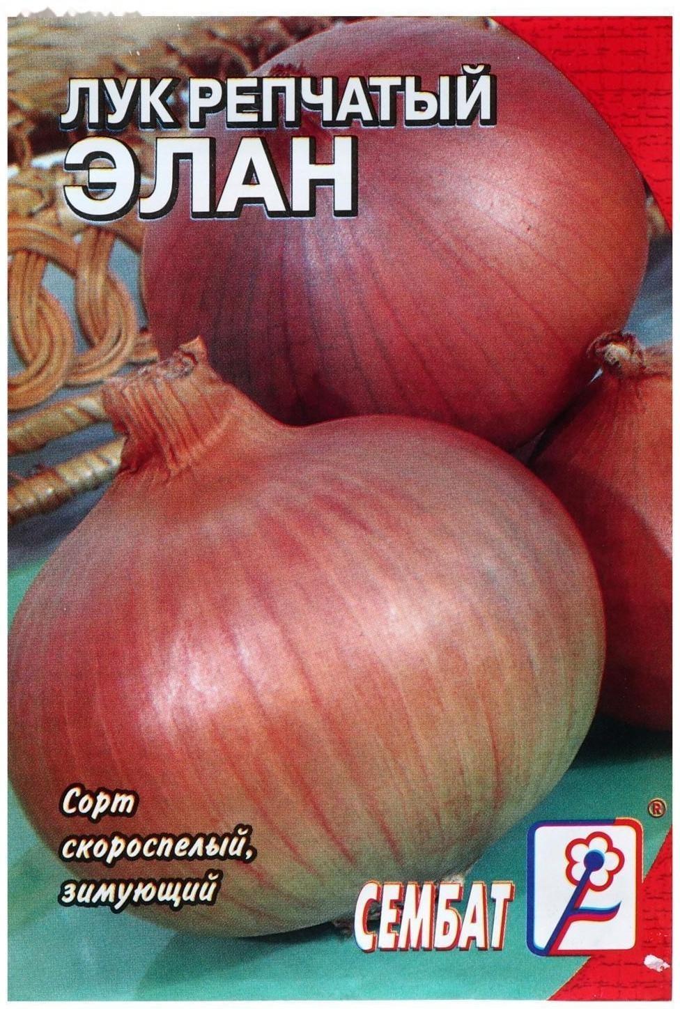 Семена Лук репчатый 