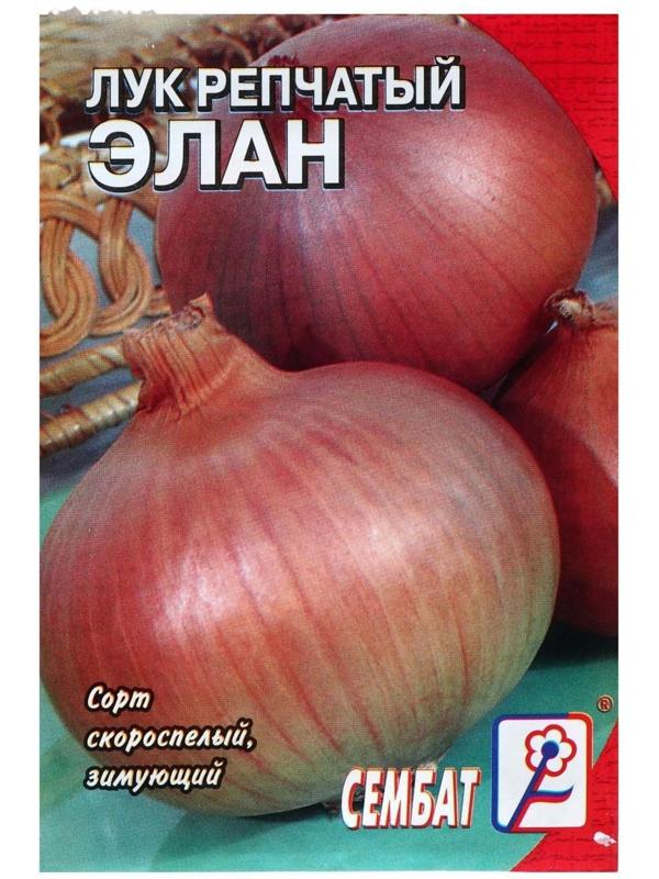 Семена Лук репчатый 