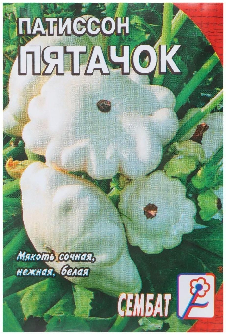 Семена Патиссон 