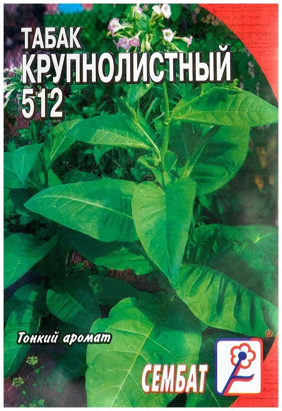 Семена Табак  