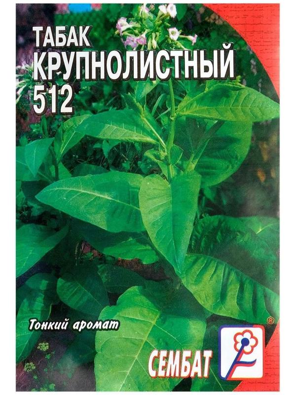 Семена Табак  