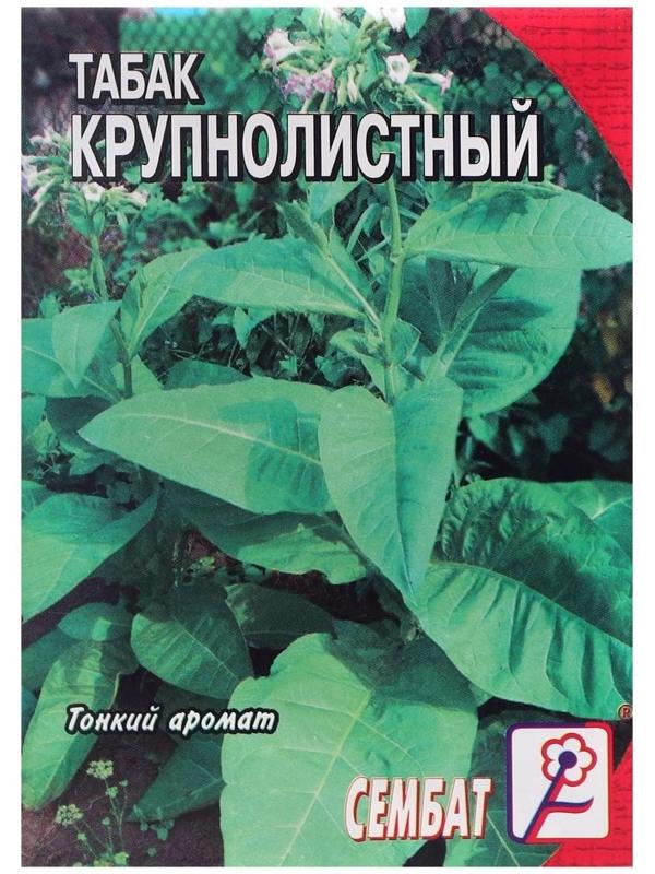 Семена Табак  