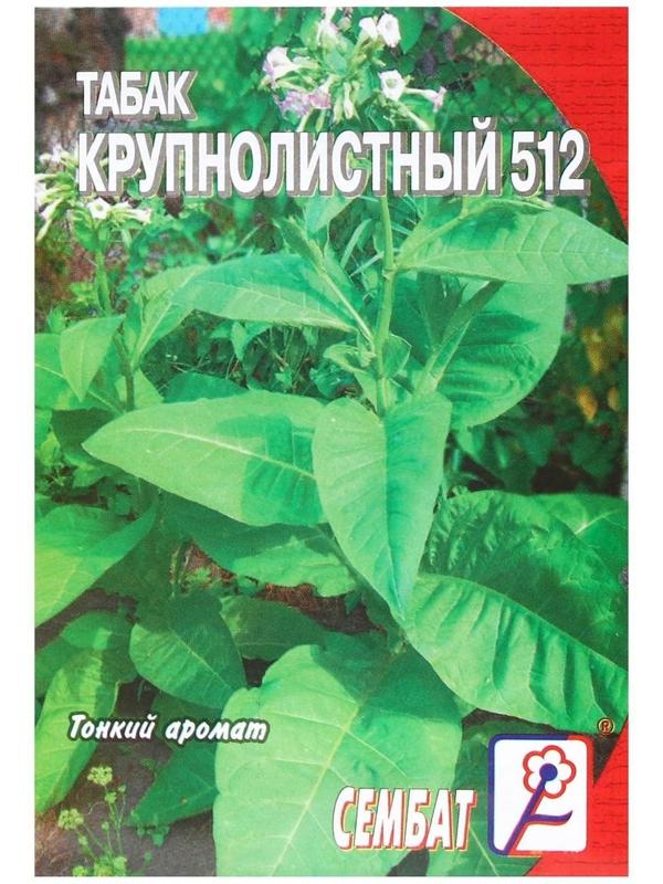 Семена Табак  