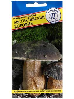 Мицелий грибов Австралийский боровик, 50 мл