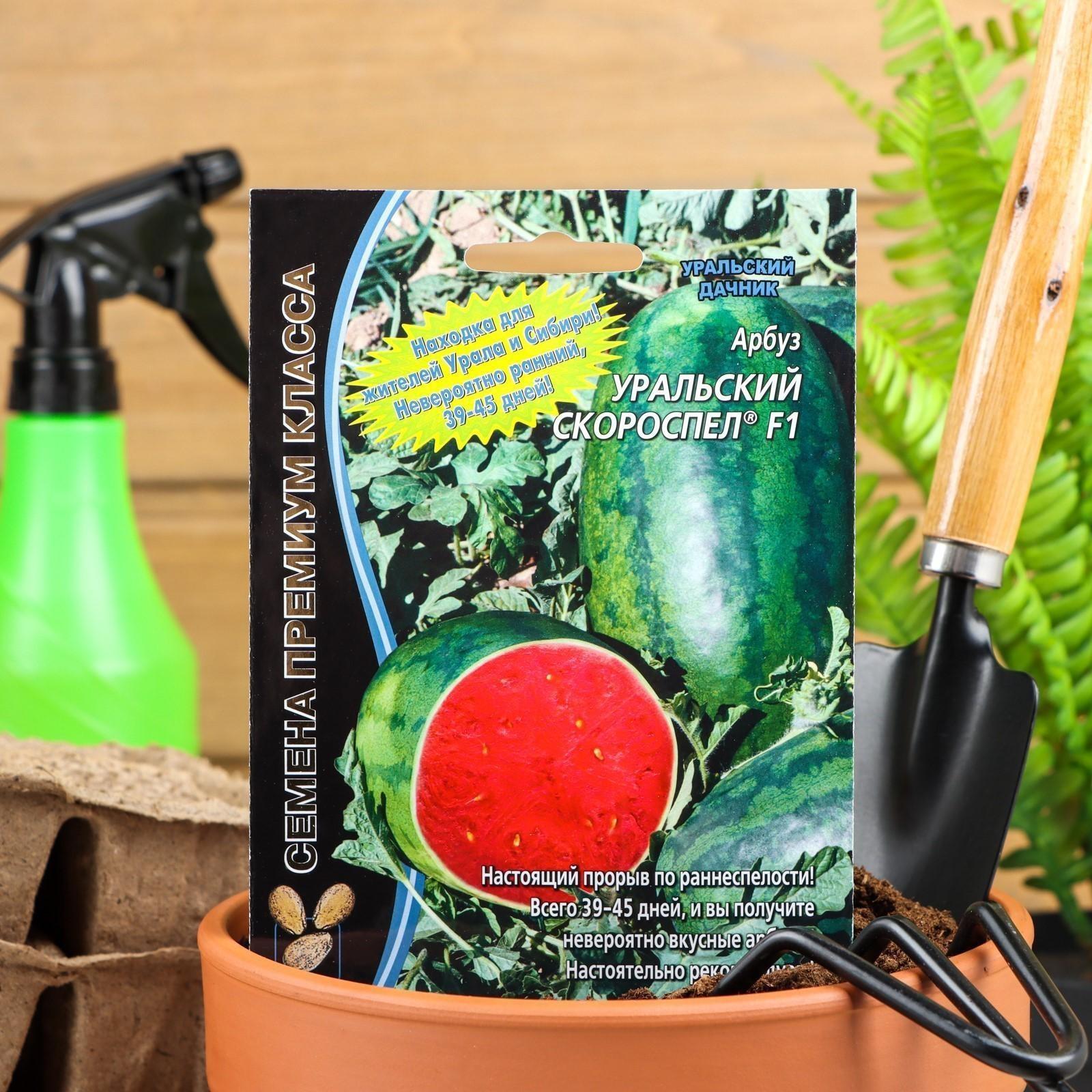 Семена  Арбуз 