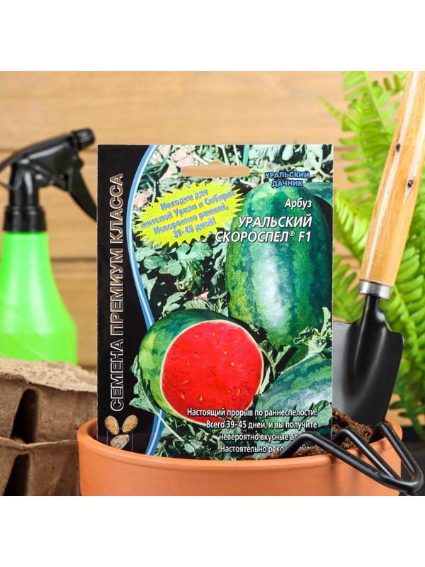 Семена  Арбуз 