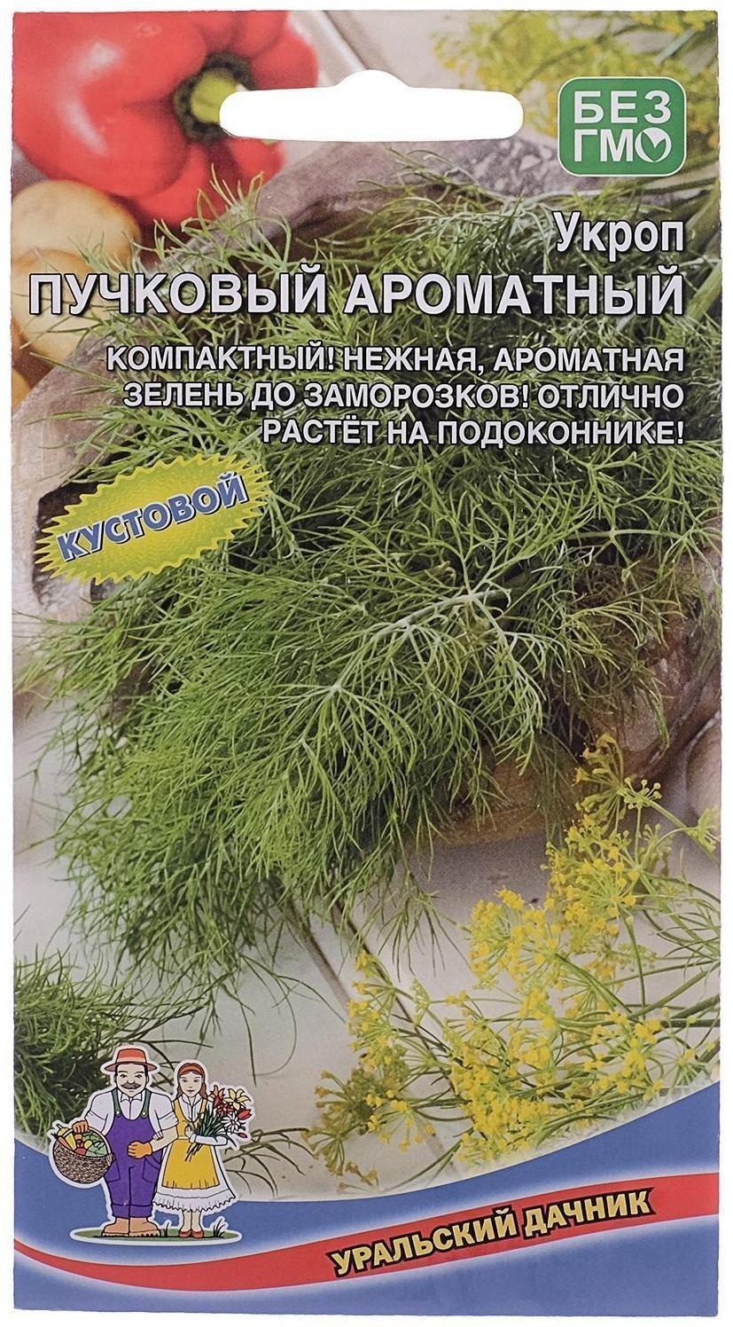 Семена Укроп 