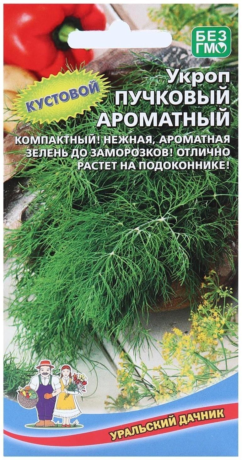 Семена Укроп 