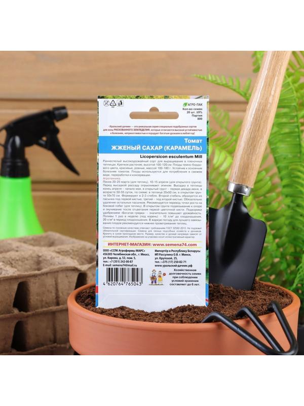 Семена Томат 