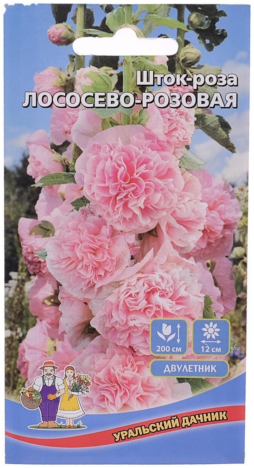 Семена цветов Шток-роза 