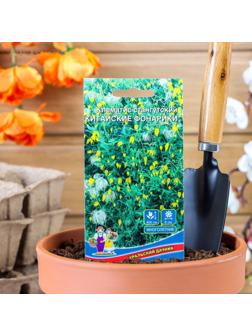 Семена цветов Клематис 