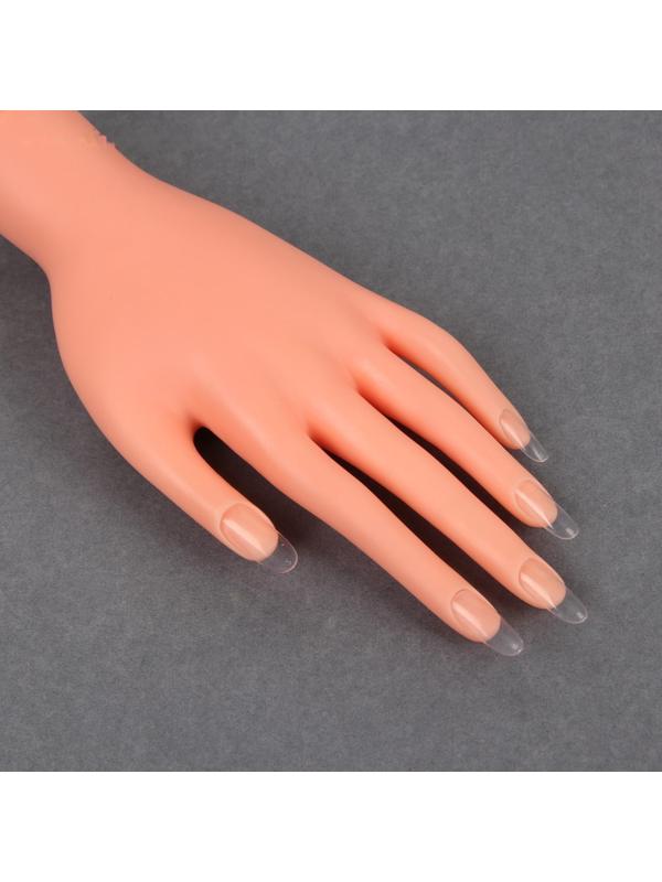 Типсы для наращивания ногтей, форма овал, 500 шт, 10 размеров