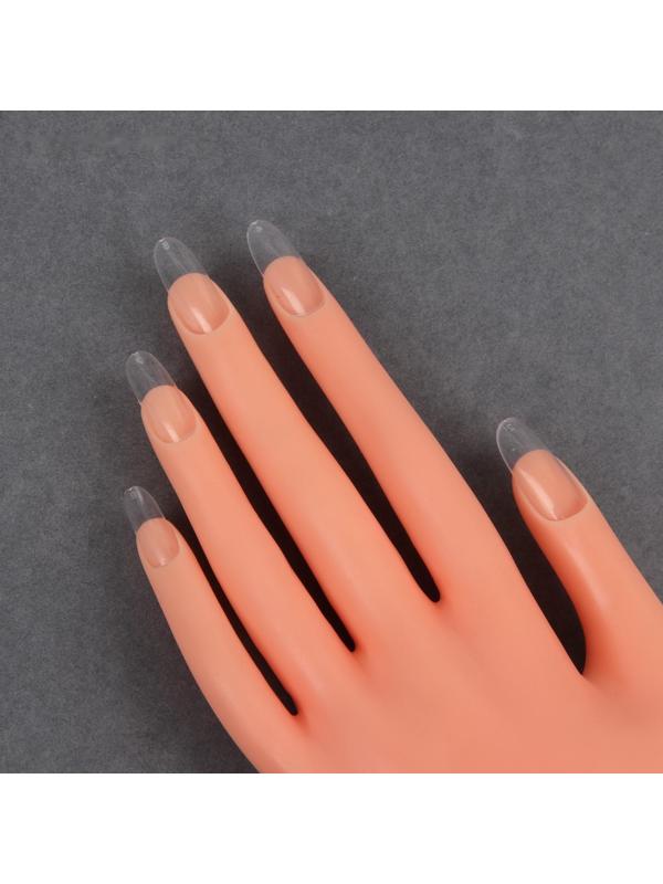 Типсы для наращивания ногтей, форма овал, 500 шт, 10 размеров