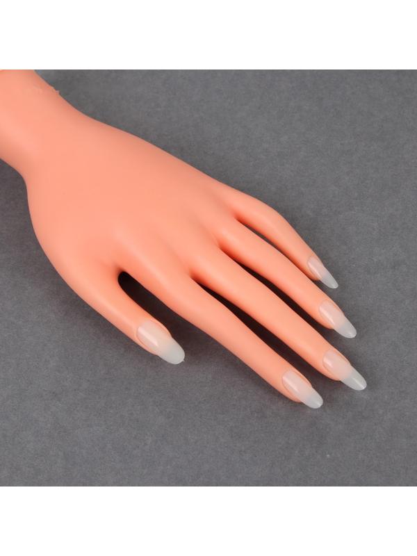 Типсы для наращивания ногтей, форма овал, 500 шт, 10 размеров