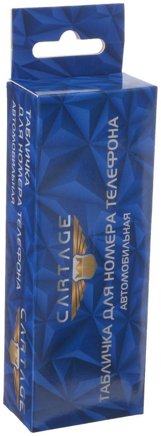 Табличка для номера телефона Cartage, люминесцентные цифры, складная, черный