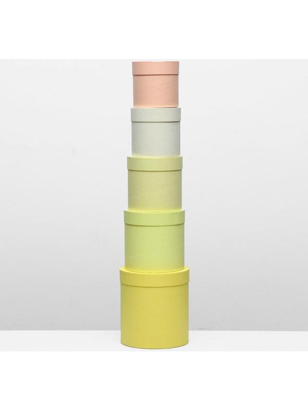 Набор круглых коробок 5 в 1 UPAK LAND ,Солнечный, 23 х 23 х 25 - 15 х 15 х 15 см