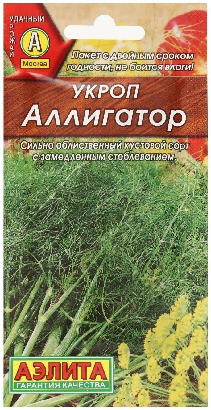 Семена Укроп 