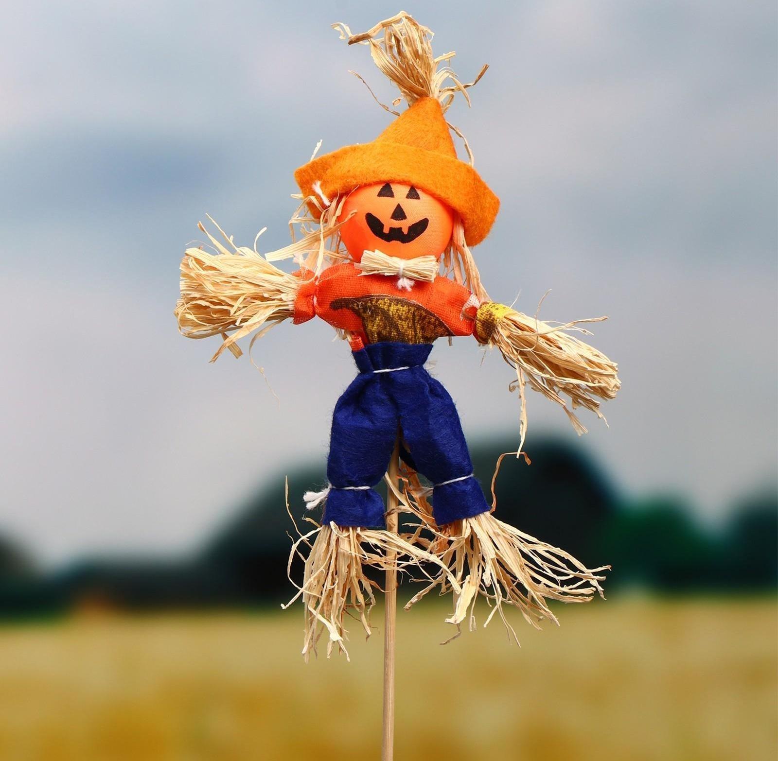 Огородное пугало «Тыква», h = 50 см, МИКС