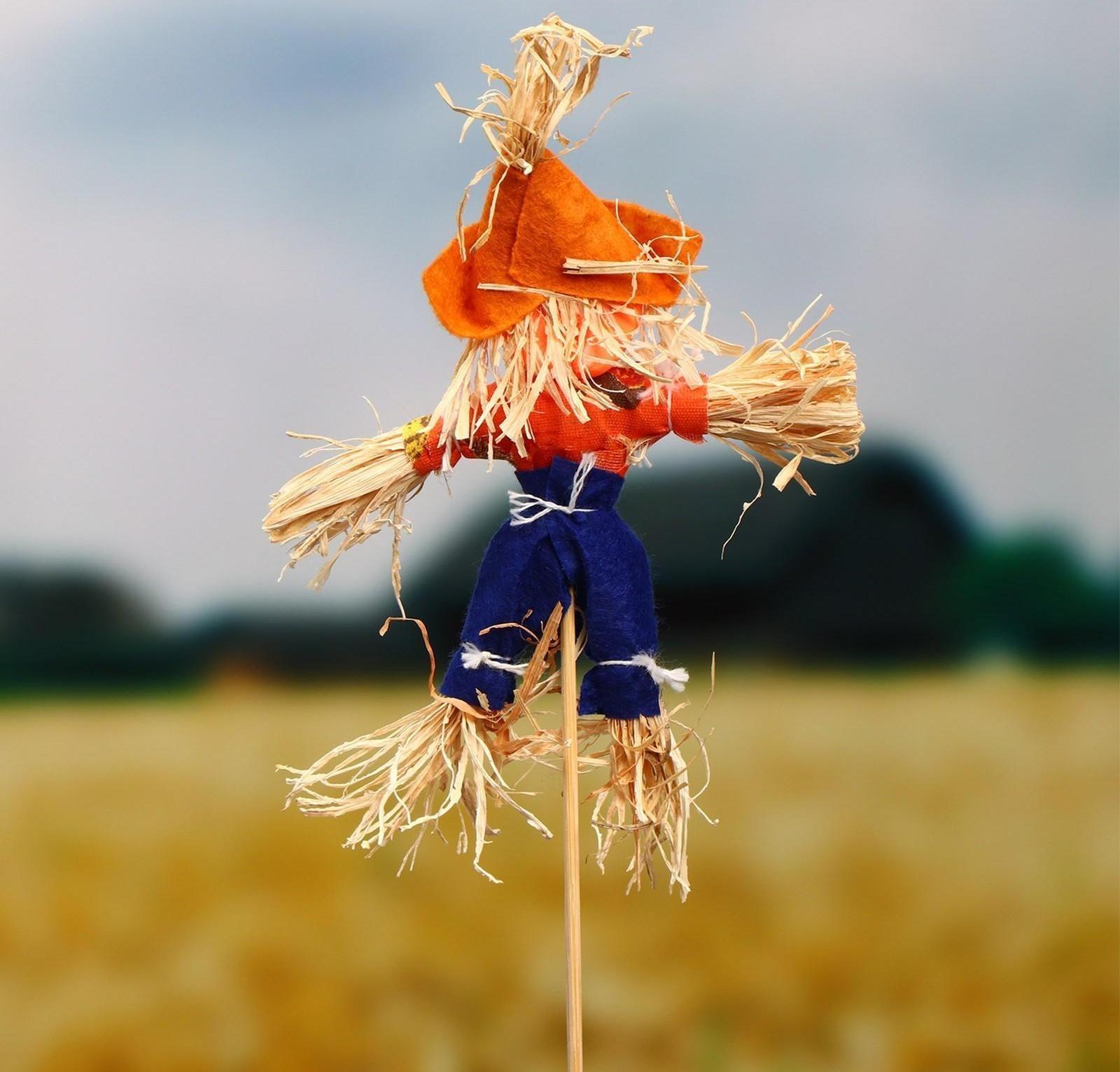 Огородное пугало «Тыква», h = 50 см, МИКС