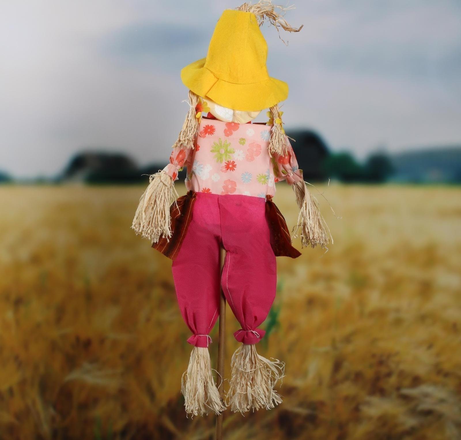 Огородное пугало, h = 90 см, МИКС