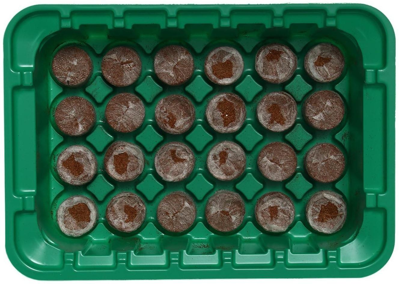 Мини-парник для рассады: кокосовая таблетка d = 3 см, 24 шт., jiffy