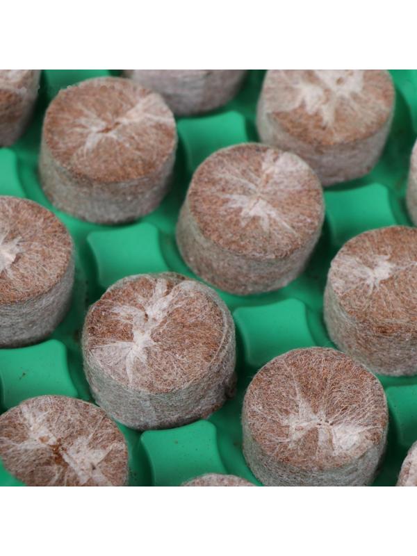 Мини-парник для рассады: кокосовая таблетка d = 3 см, 24 шт., jiffy