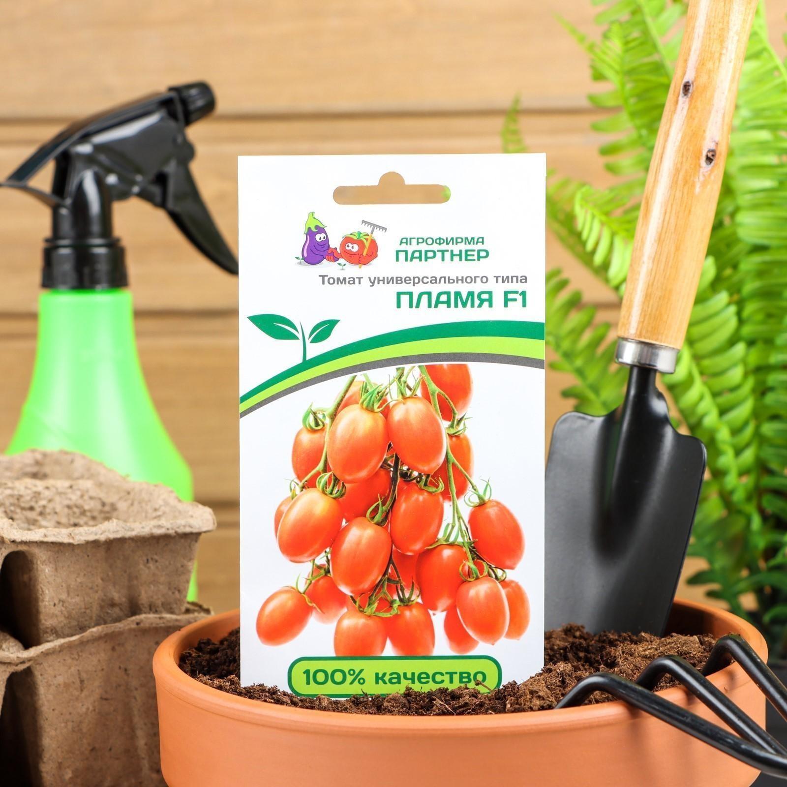 Семена Томат 